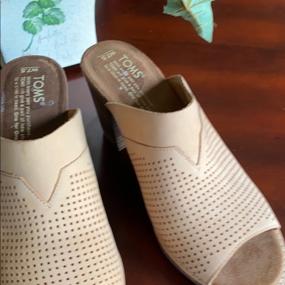 COPY - Toms